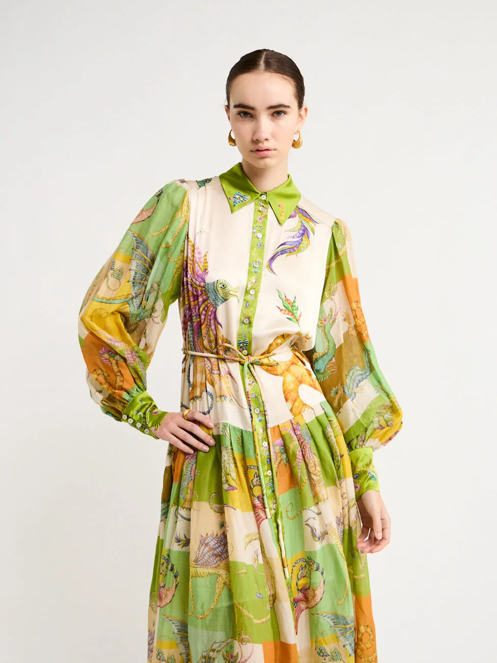 Alemais Jerome Shirtdress in Multi