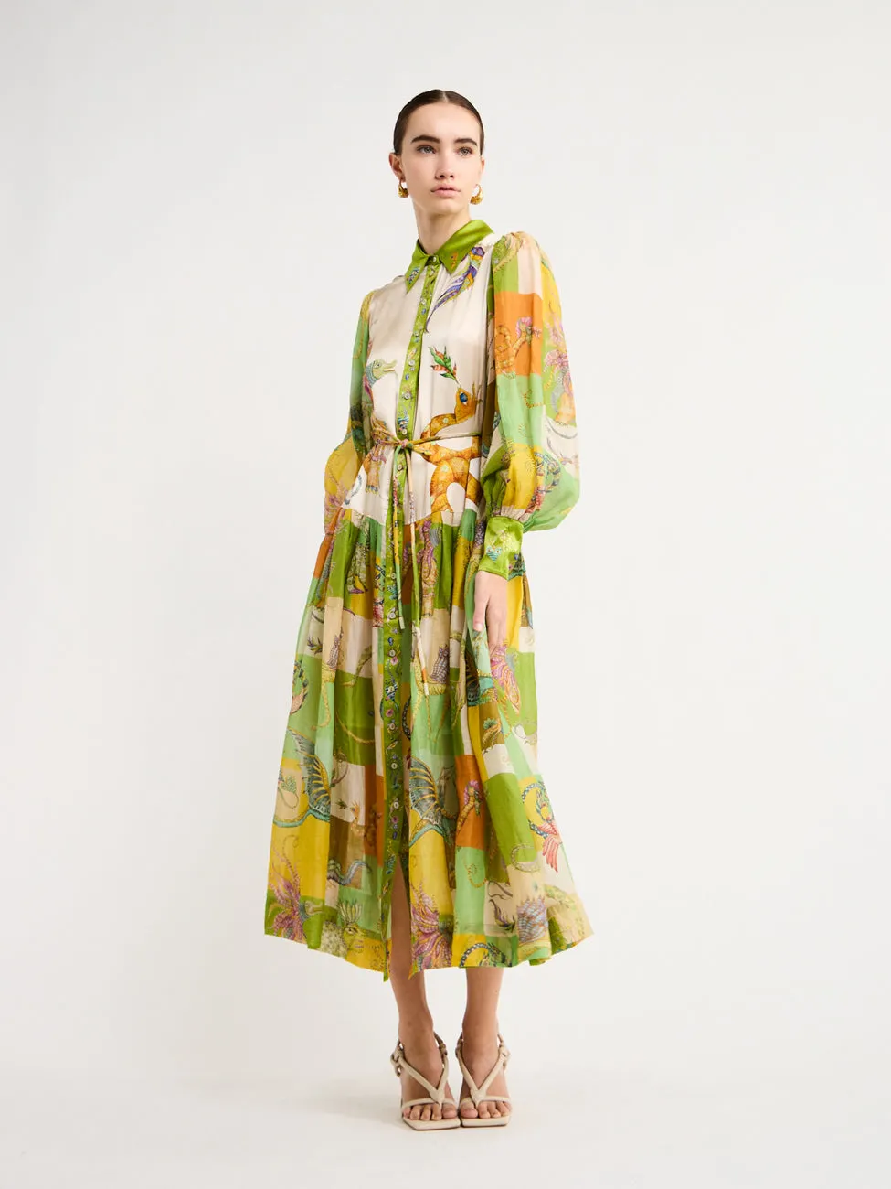 Alemais Jerome Shirtdress in Multi